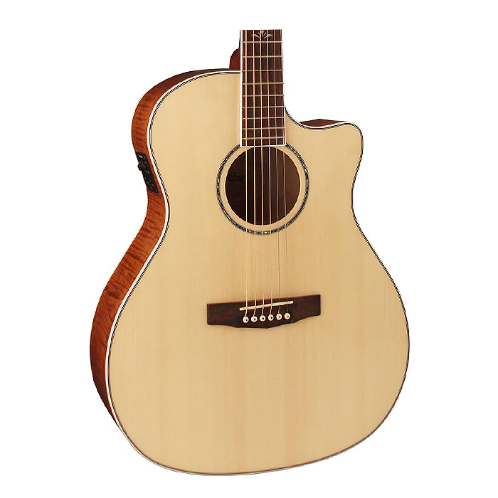 Cort Grand Regal GA-FF Acoustic Guitar With Bag - The Guitar Store