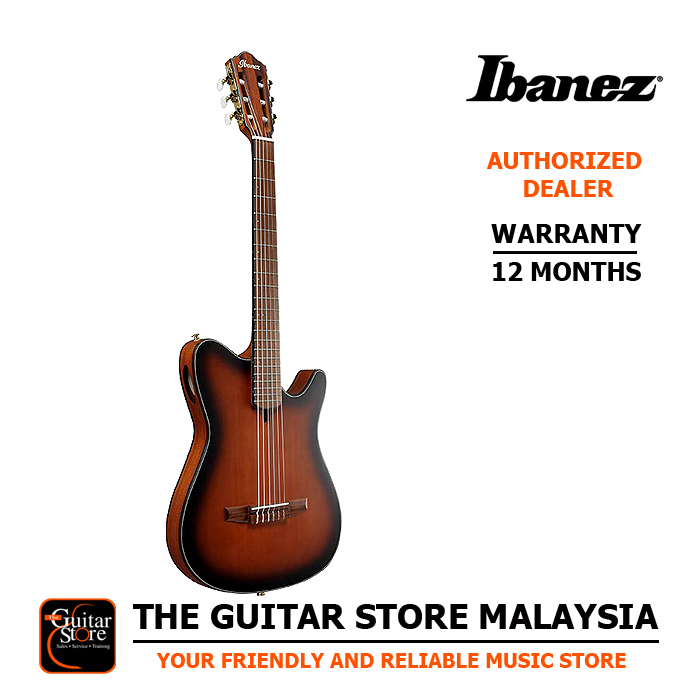 Ibanez FRH10N-BSF Thinline Nylon Acoustic-Electric Guitar (Brown Sunburst  Flat)